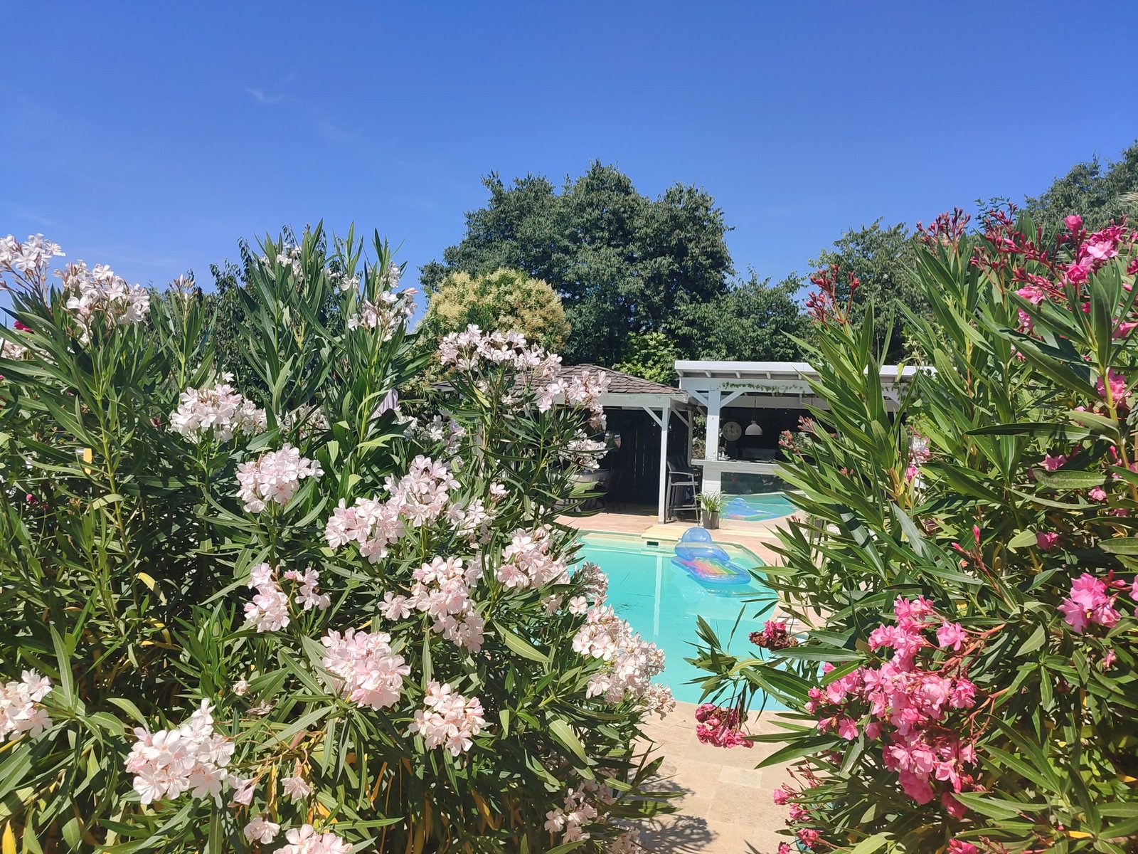 Location de Maison à Mons près d'Uzès